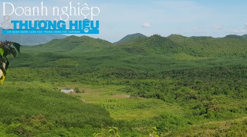 Bi hài chuyện cấp gần 245 ha đất làm dự án